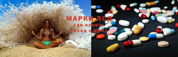 тгк Володарск